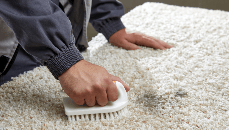 Professional Rug Cleaning Noble Park